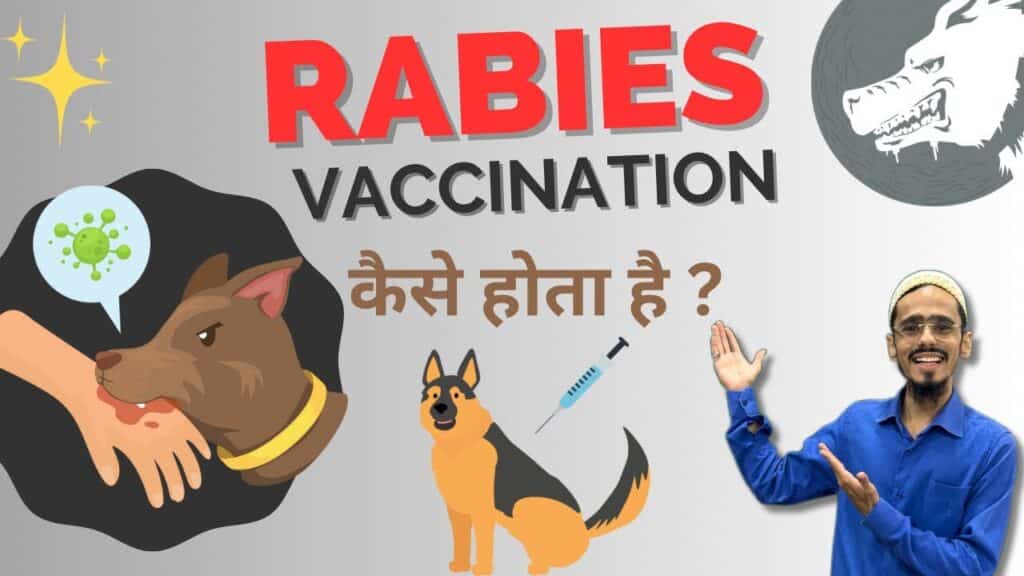Importance of rabies vaccination