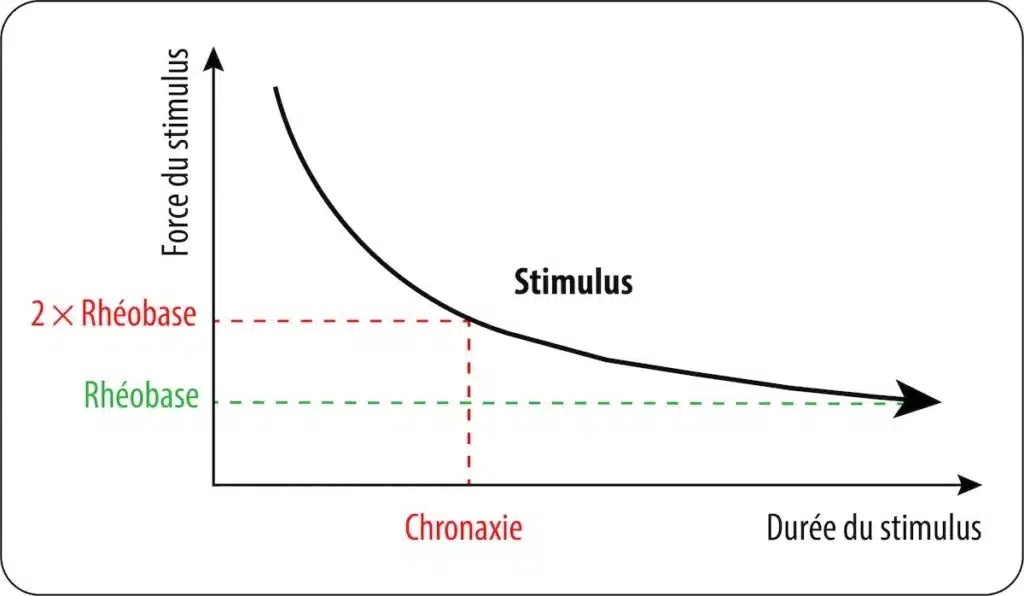 CHRONAXIE