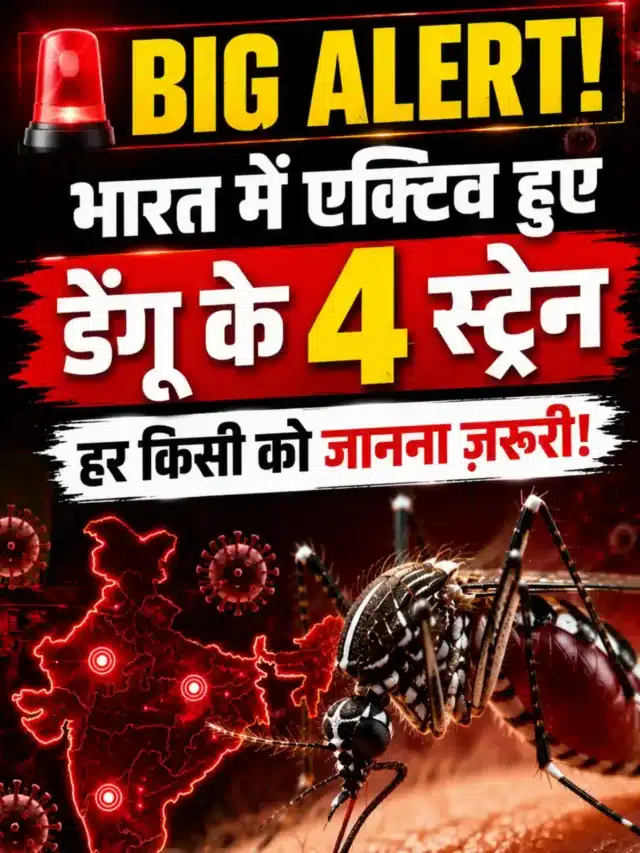 Dengue Alert Four Strains Active in India
