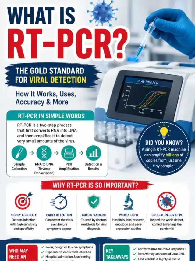 What is RT PCR ?