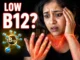 Vitamin B12 Deficiency Risk Calculator